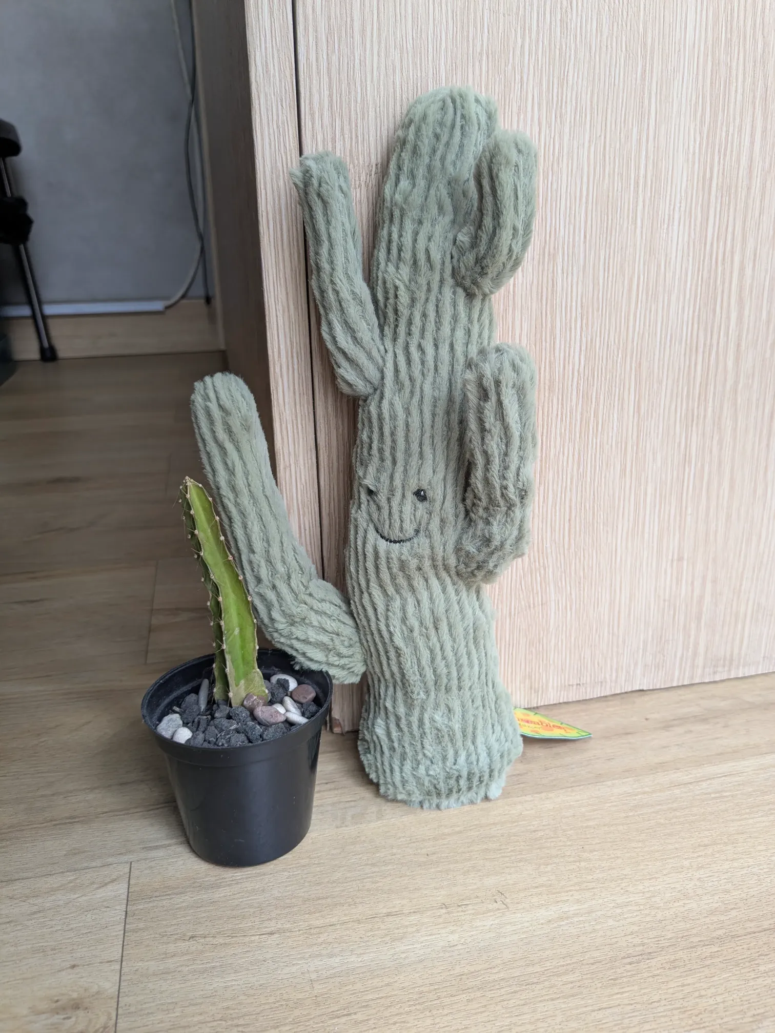 Jellycat Amuseables Desert Cactus view 2