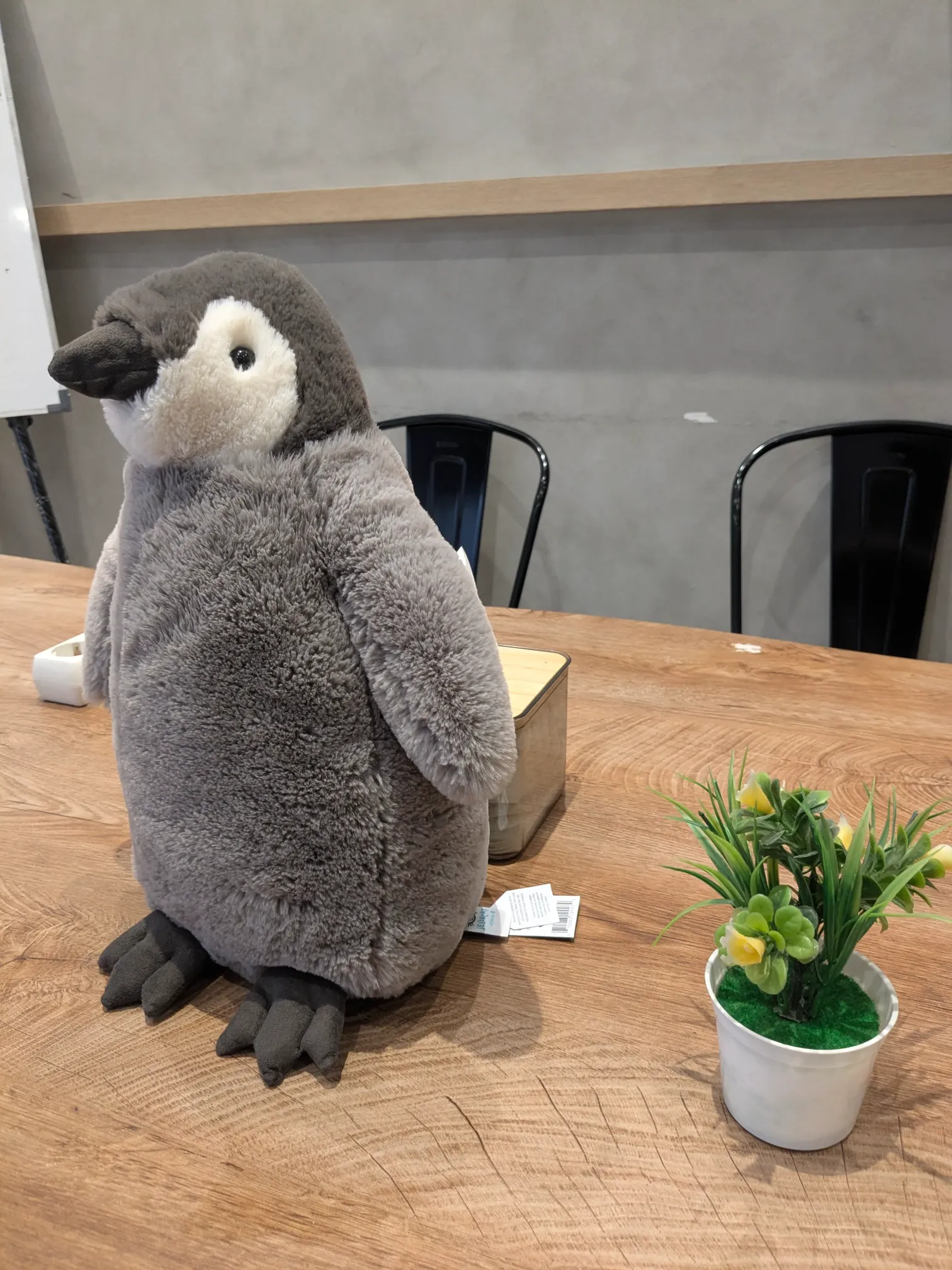Jellycat Percy Penguin view 2